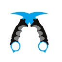 CS2 Analyzer logo
